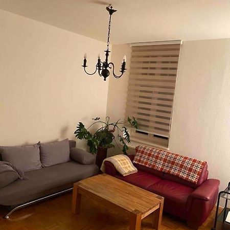Schone Altbauwohnung Mit Grun In Ruhiger Lage Leipzig Buitenkant foto